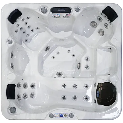 Avalon EC-849L hot tubs for sale in Hempstead